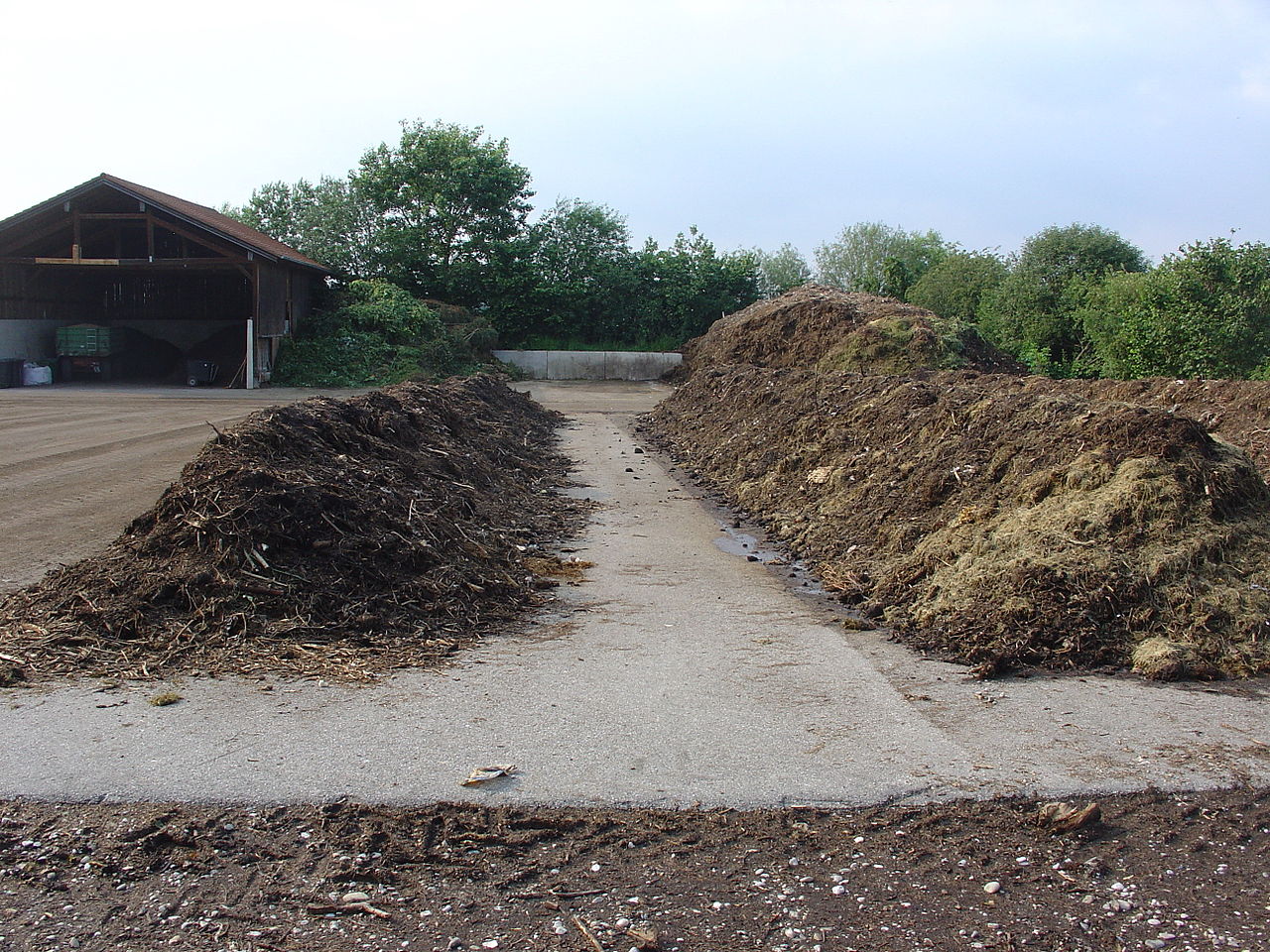 Odor-Free Composting in an Apartment: My Bokashi and Zero Waste Journey