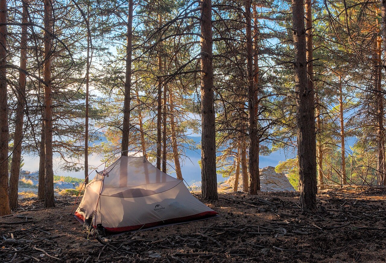 I Ditched the Office for the Wilderness: 30 Days Remote Working with a Portable Power Station